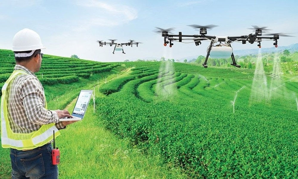 Tổng điều tra nông thôn, nông nghiệp năm 2025 trong cả nước diễn ra từ 1/7